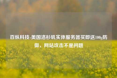 百纵科技-美国洛杉矶实体服务器买即送100g防御，网站攻击不是问题