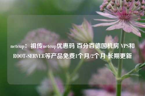 netcup：祖传netcup优惠码 百分百德国机房 VPS和ROOT-SERVER等产品免费1个月/2个月 长期更新